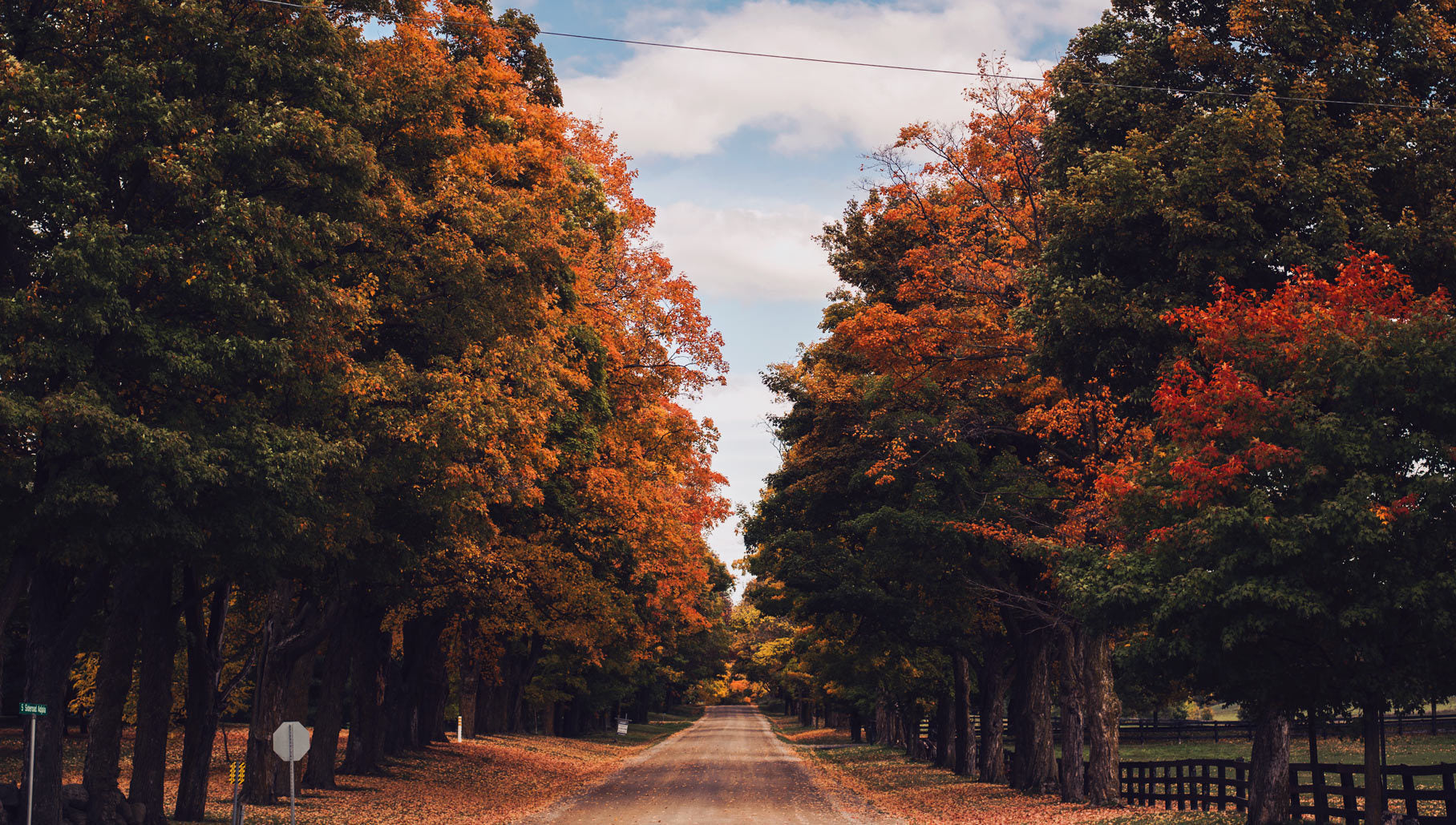 FALL SHUTDOWN